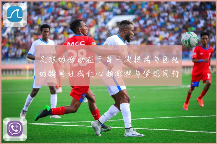 足球的感动在于每一次拼搏与团结的瞬间让我们心潮澎湃与梦想同行