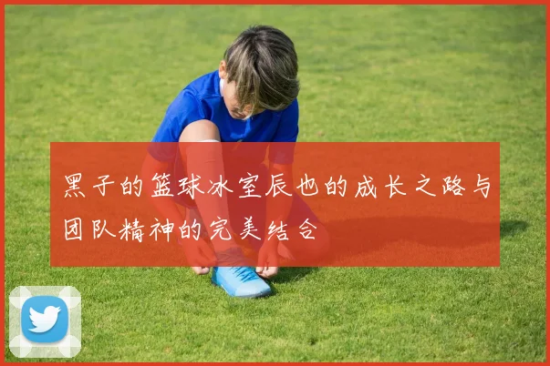 黑子的篮球冰室辰也的成长之路与团队精神的完美结合