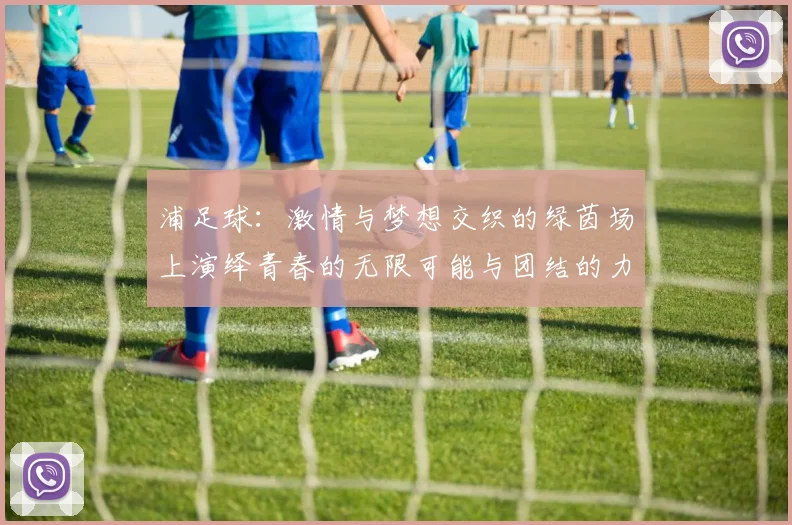 浦足球：激情与梦想交织的绿茵场上演绎青春的无限可能与团结的力量