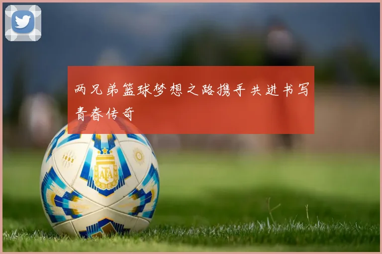 两兄弟篮球梦想之路携手共进书写青春传奇