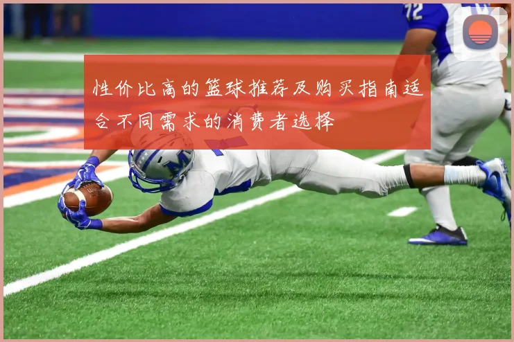 性价比高的篮球推荐及购买指南适合不同需求的消费者选择